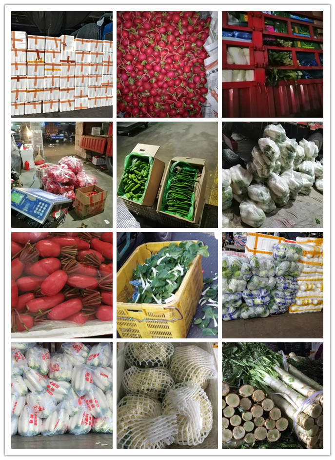 首页| J9集团国际站官方网站