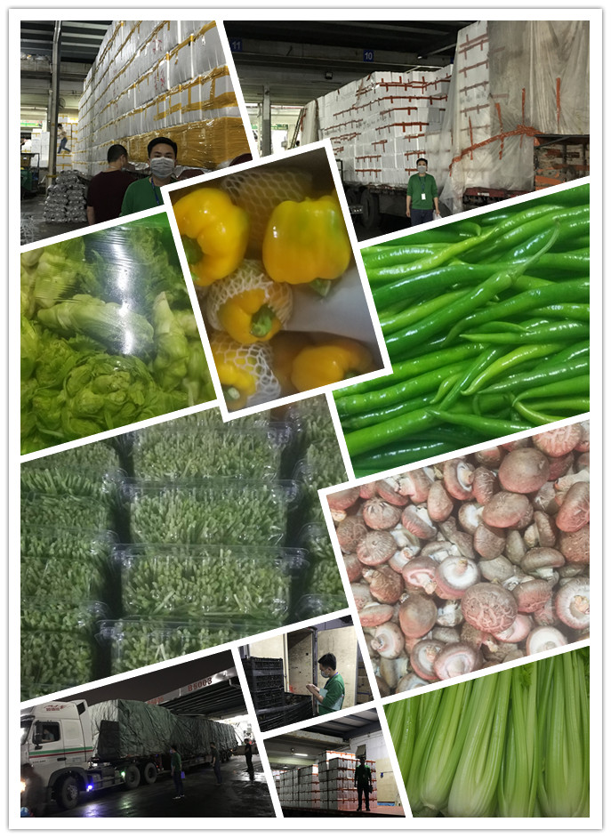 首页| J9集团国际站官方网站