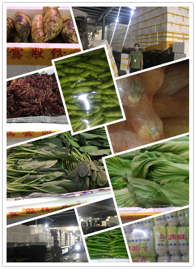 首页| J9集团国际站官方网站