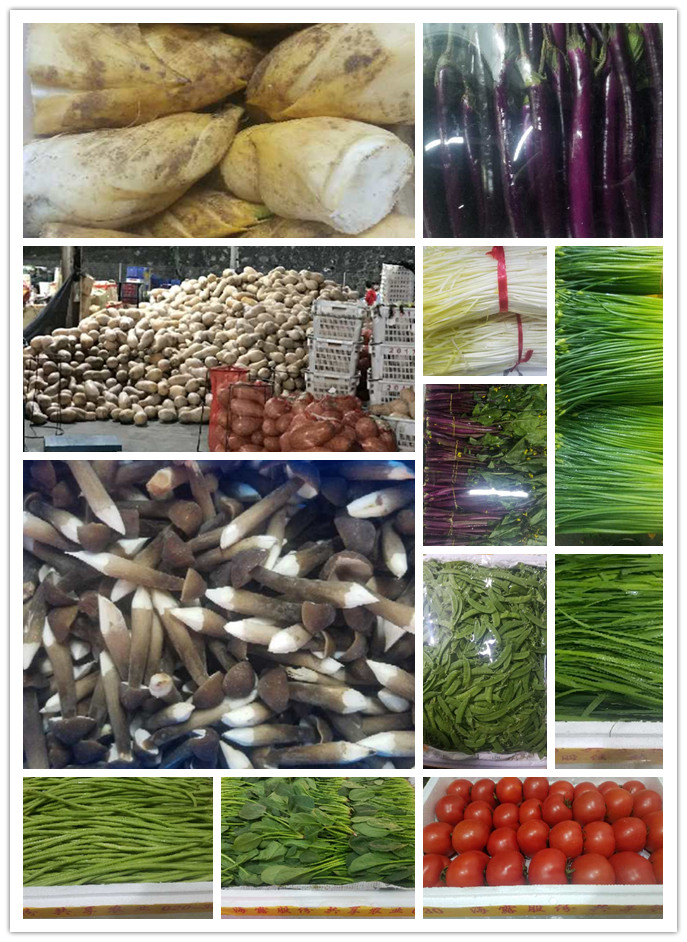 首页| J9集团国际站官方网站