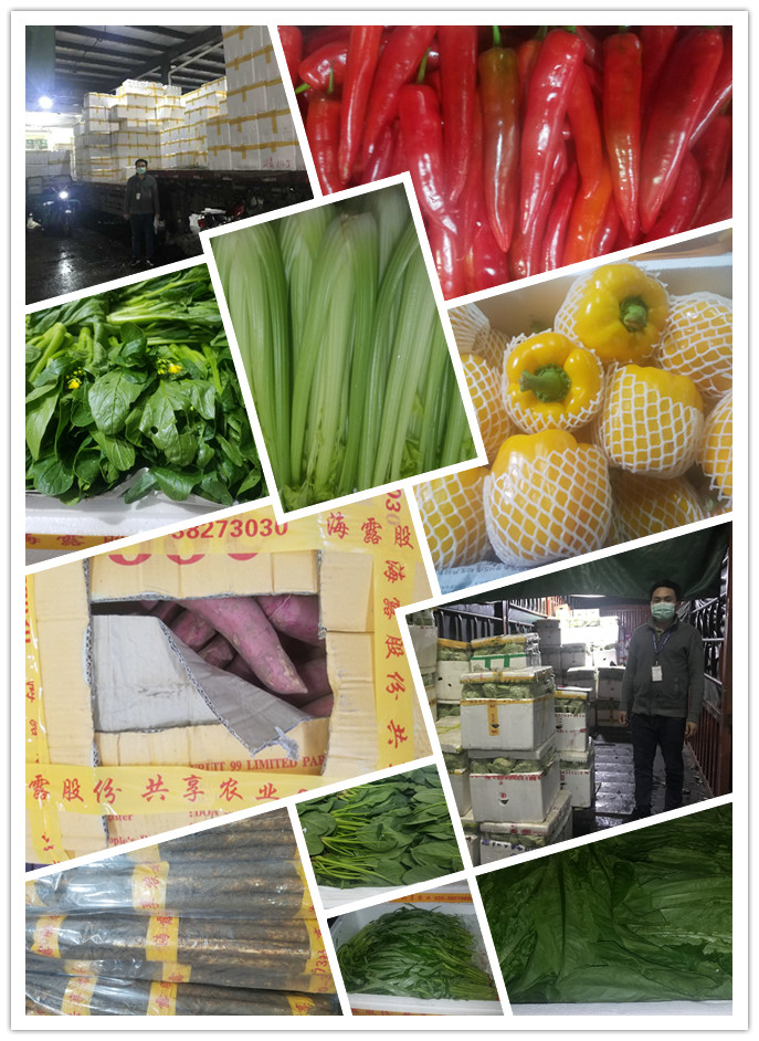 首页| J9集团国际站官方网站