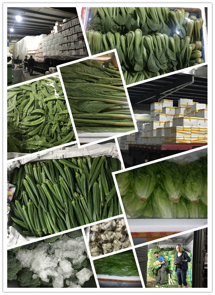 首页| J9集团国际站官方网站