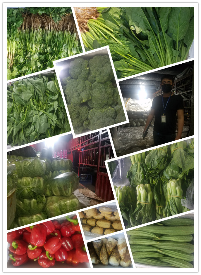 首页| J9集团国际站官方网站