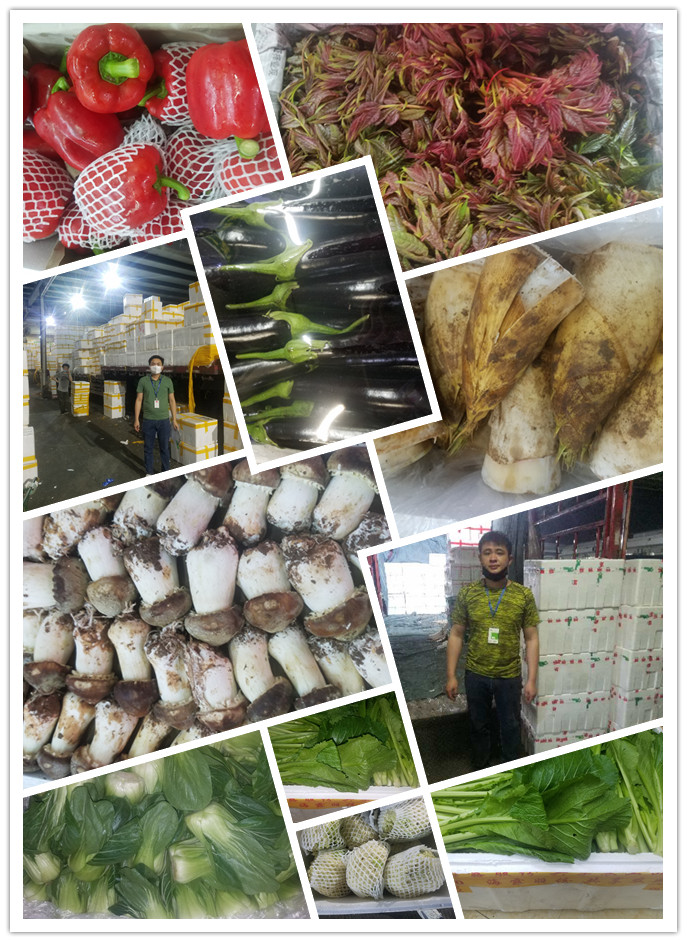 首页| J9集团国际站官方网站