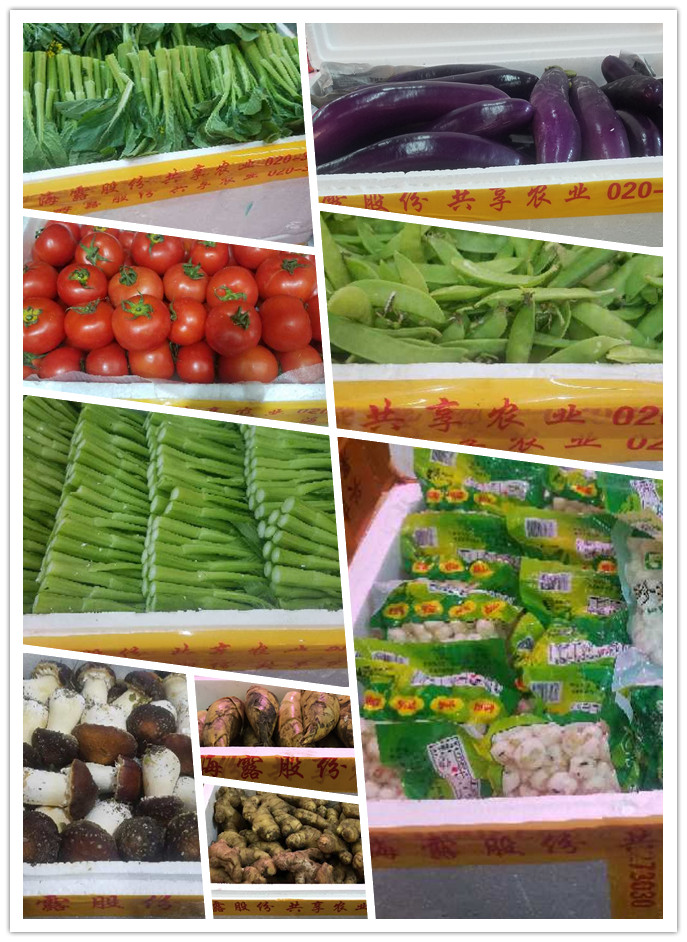 首页| J9集团国际站官方网站