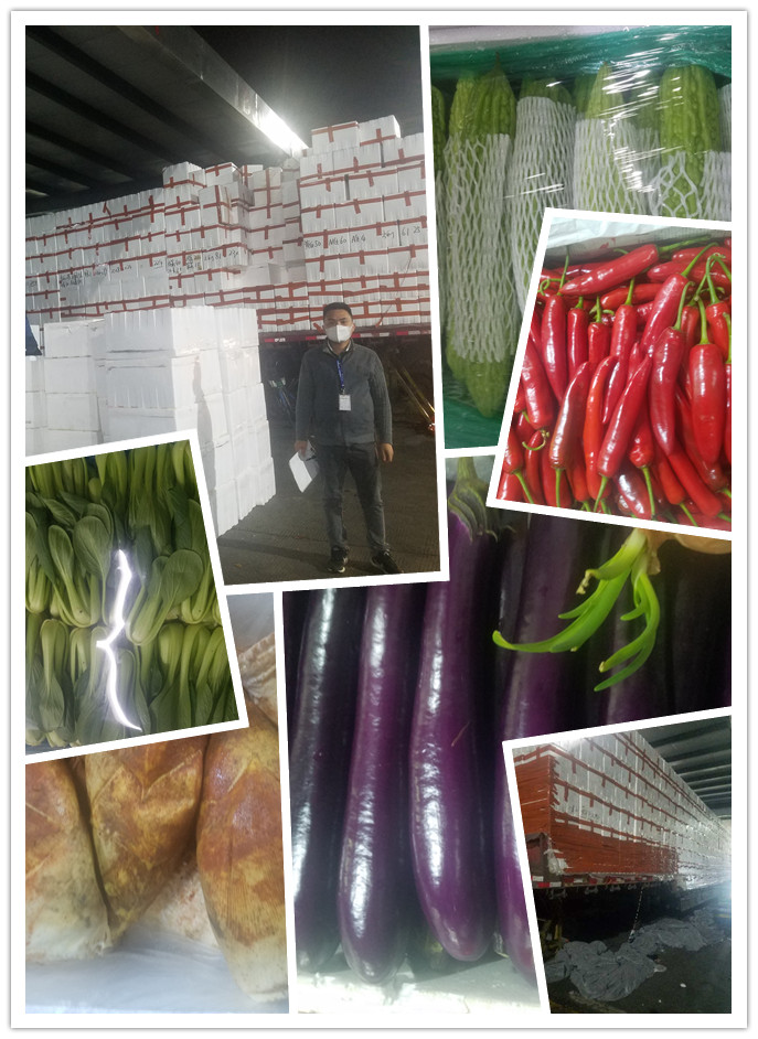 首页| J9集团国际站官方网站