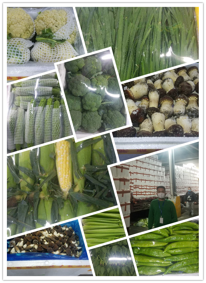 首页| J9集团国际站官方网站