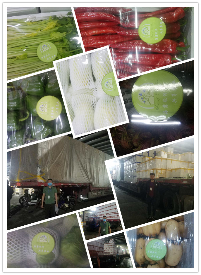 首页| J9集团国际站官方网站