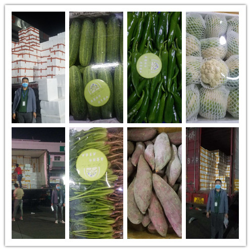 首页| J9集团国际站官方网站