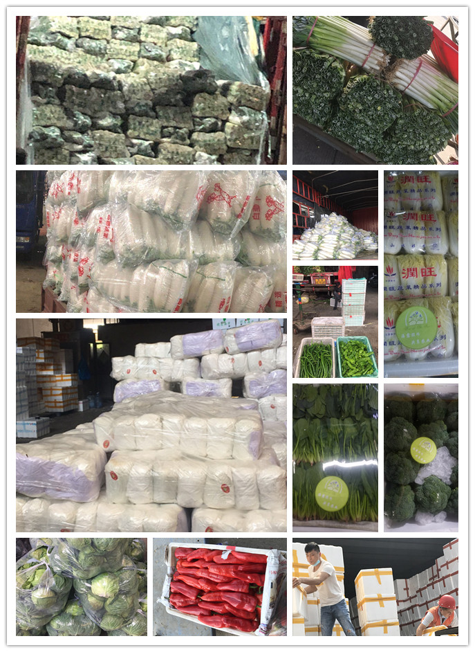 首页| J9集团国际站官方网站