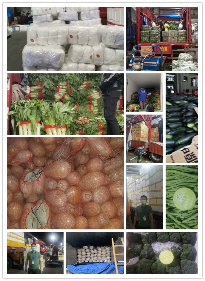 首页| J9集团国际站官方网站