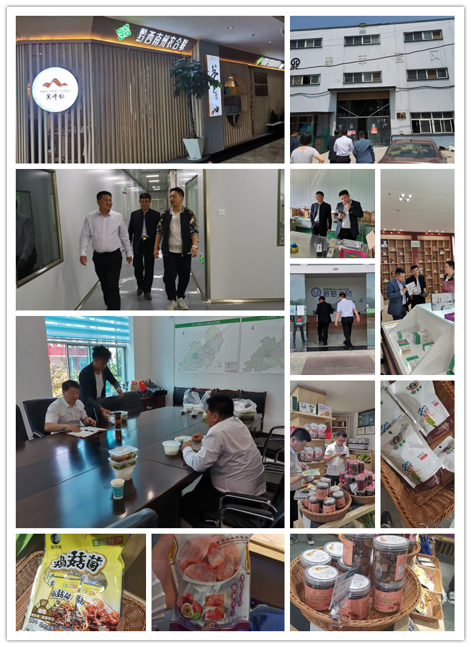 首页| J9集团国际站官方网站