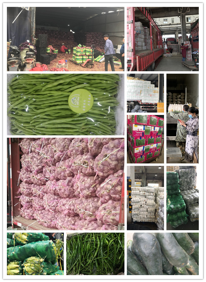 首页| J9集团国际站官方网站