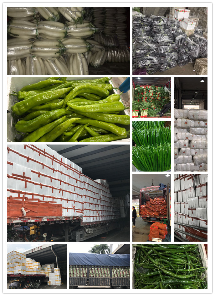 首页| J9集团国际站官方网站