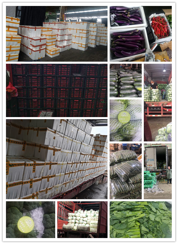 首页| J9集团国际站官方网站