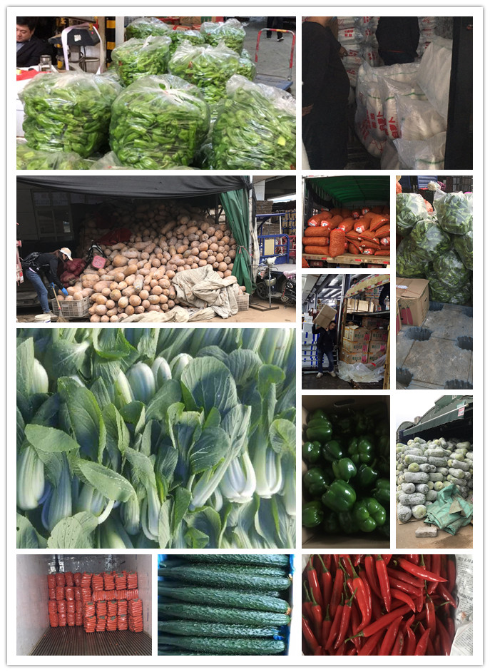 首页| J9集团国际站官方网站