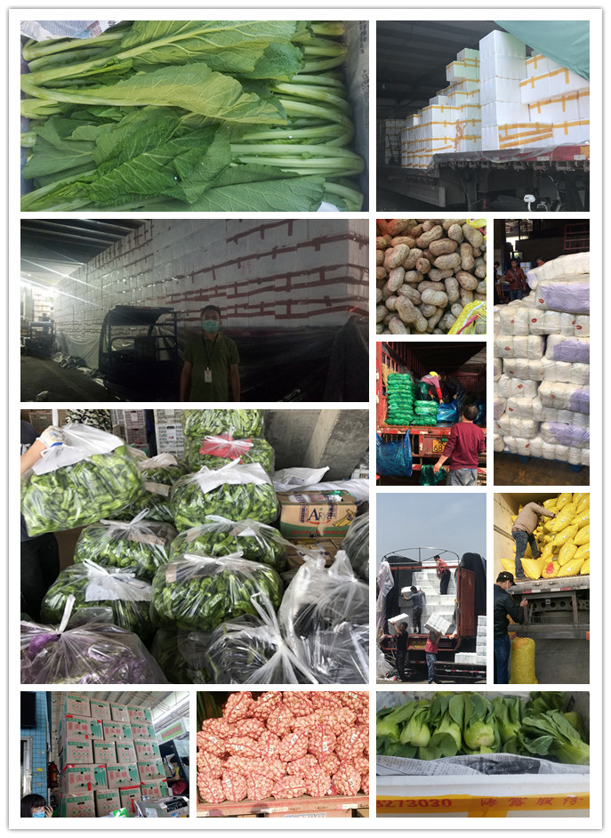 首页| J9集团国际站官方网站