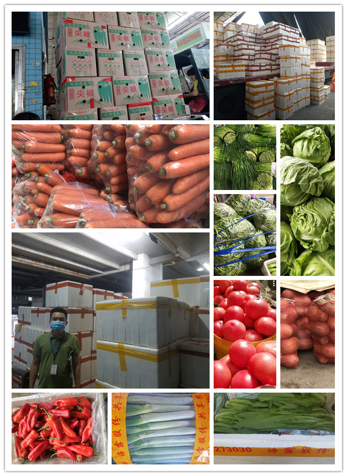 首页| J9集团国际站官方网站