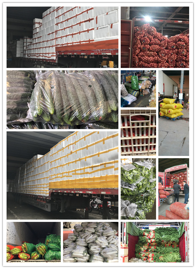 首页| J9集团国际站官方网站