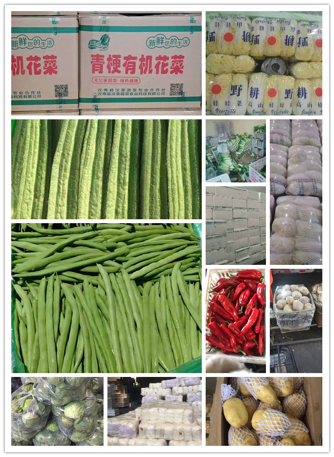 首页| J9集团国际站官方网站