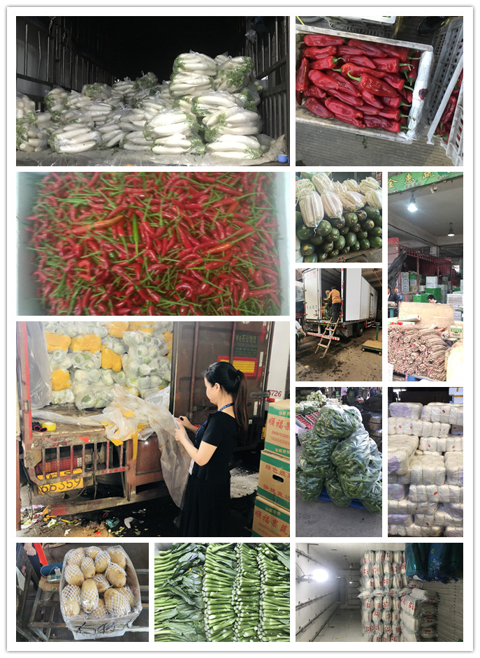 首页| J9集团国际站官方网站