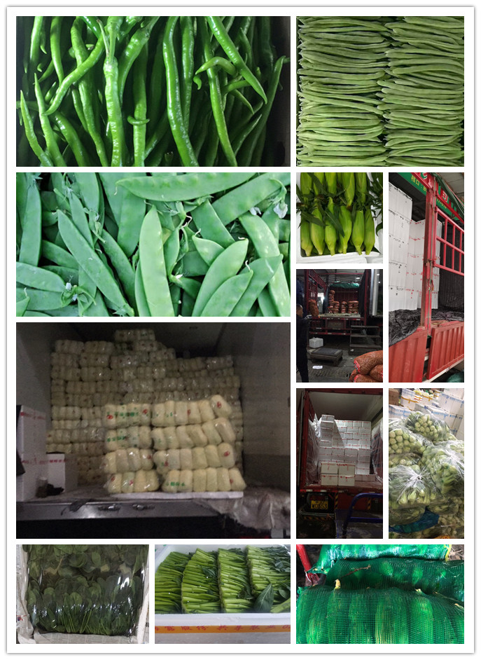 首页| J9集团国际站官方网站