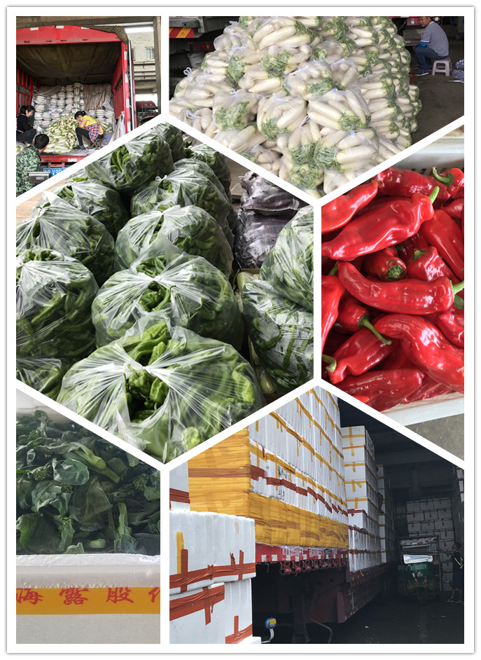 首页| J9集团国际站官方网站