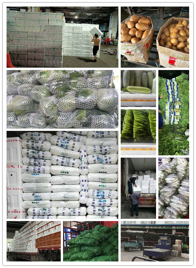 首页| J9集团国际站官方网站