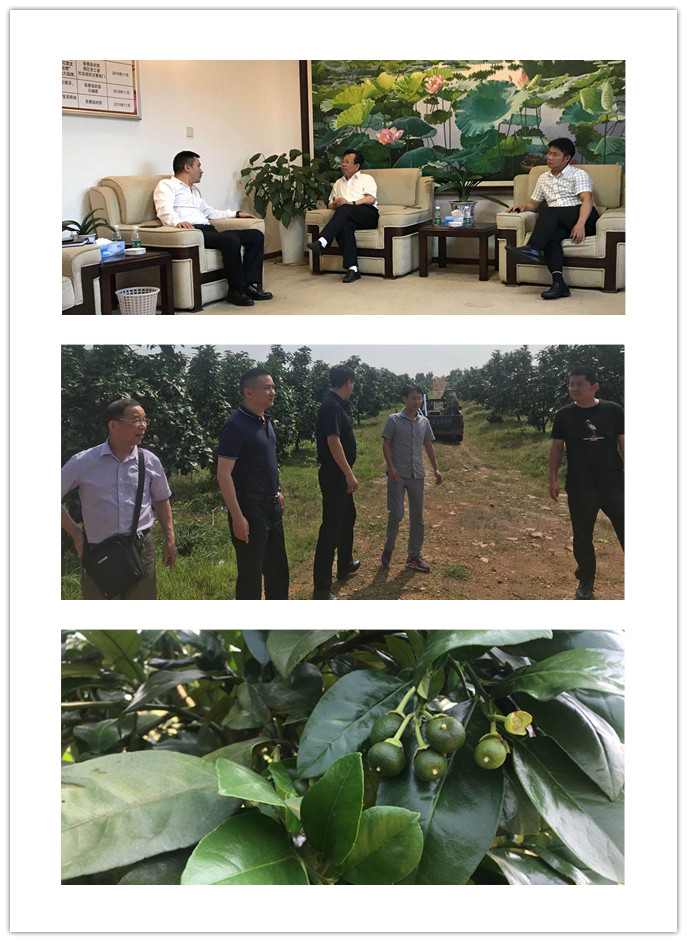 首页| J9集团国际站官方网站