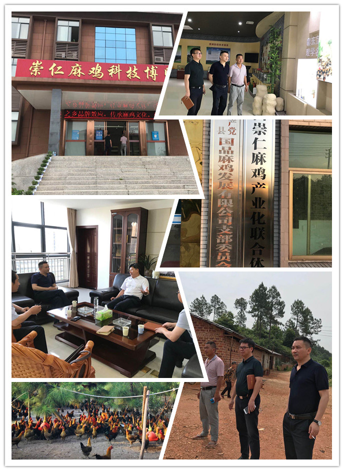 首页| J9集团国际站官方网站