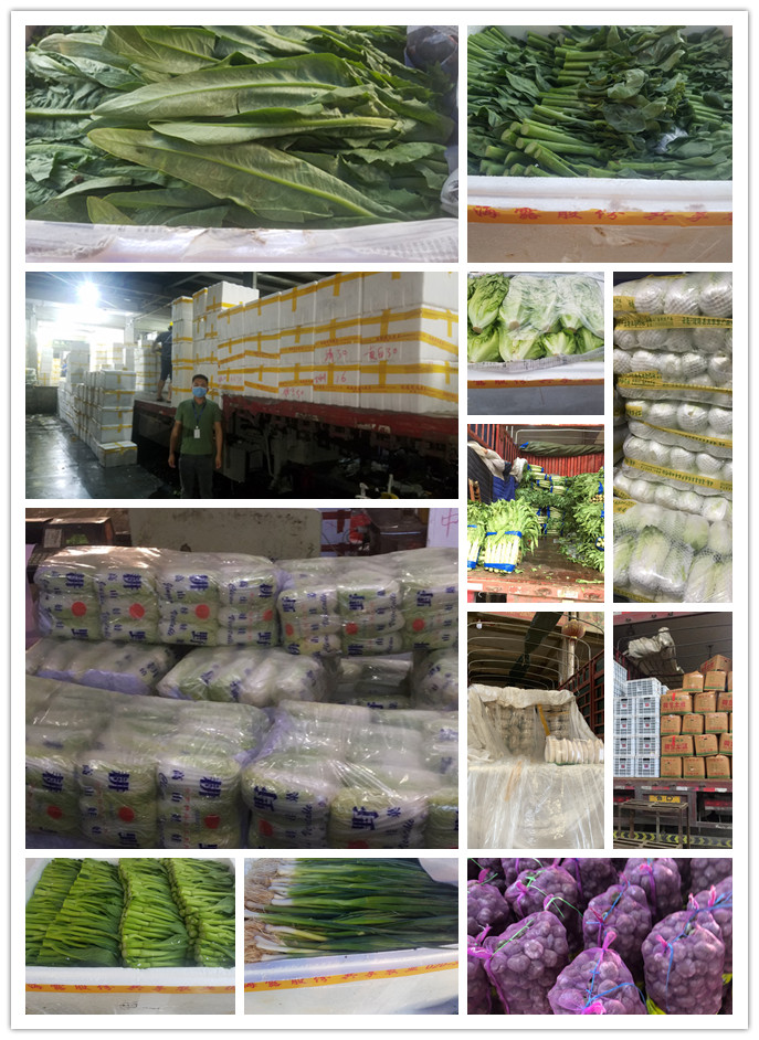 首页| J9集团国际站官方网站