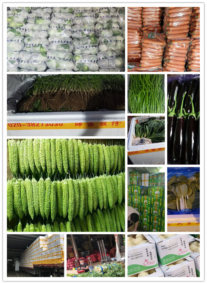 首页| J9集团国际站官方网站