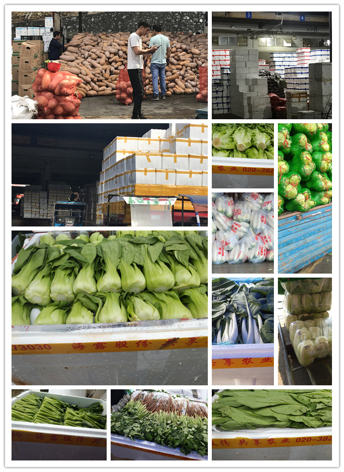 首页| J9集团国际站官方网站