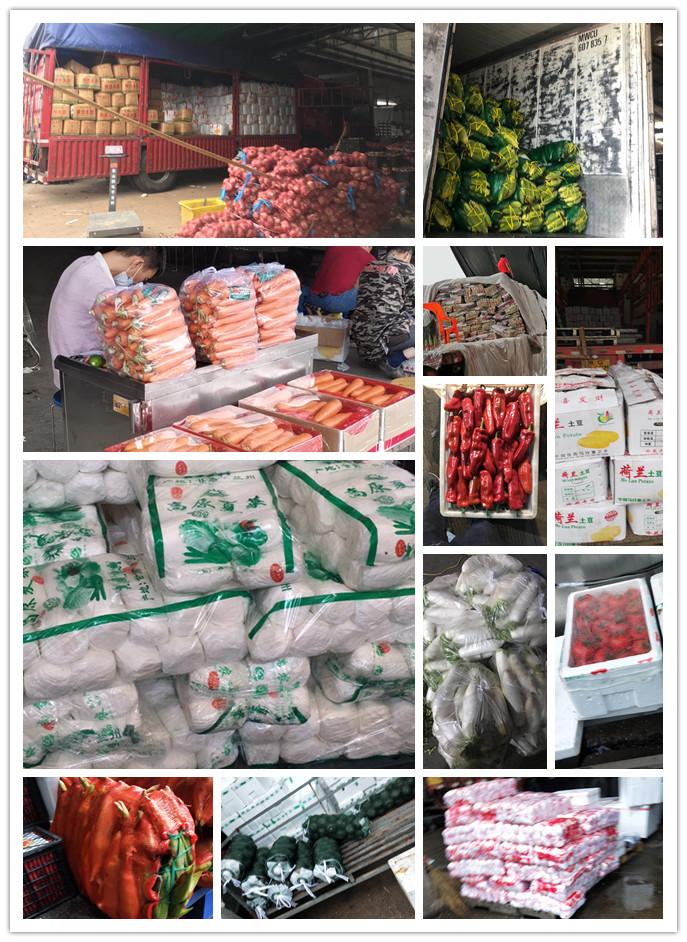 首页| J9集团国际站官方网站