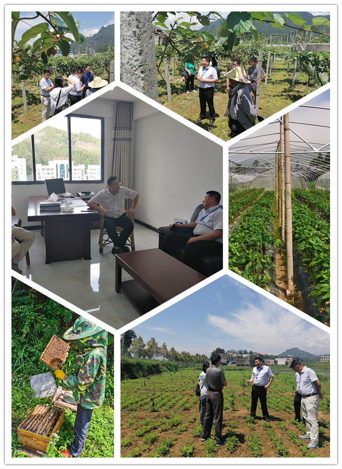 首页| J9集团国际站官方网站