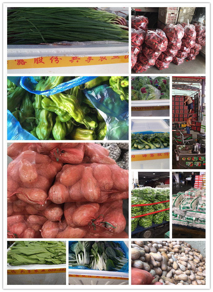 首页| J9集团国际站官方网站