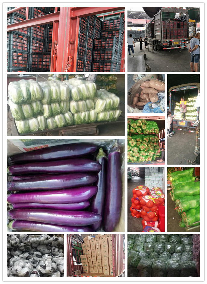 首页| J9集团国际站官方网站