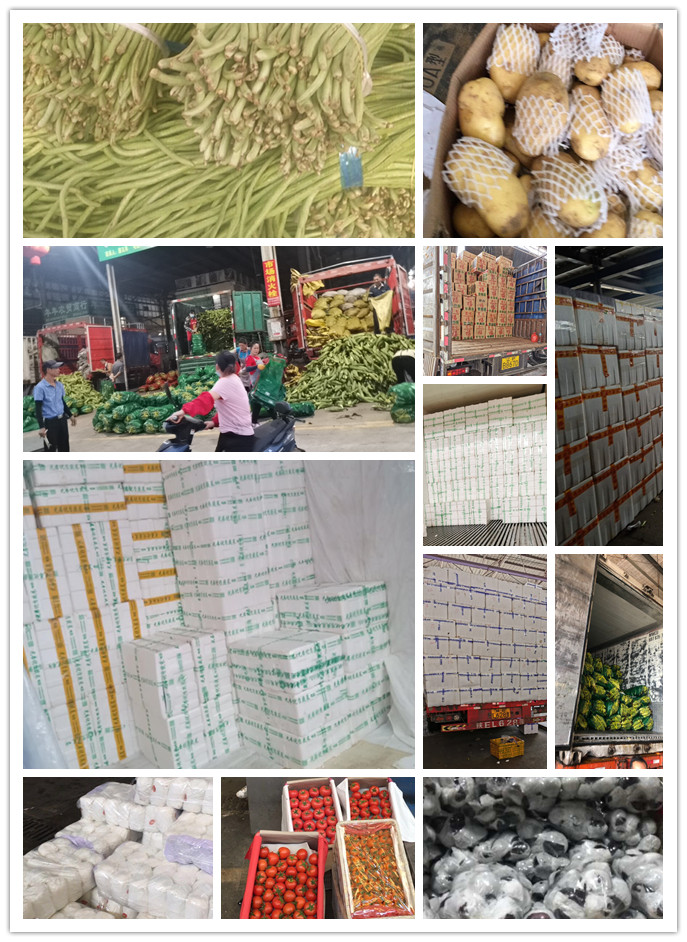 首页| J9集团国际站官方网站