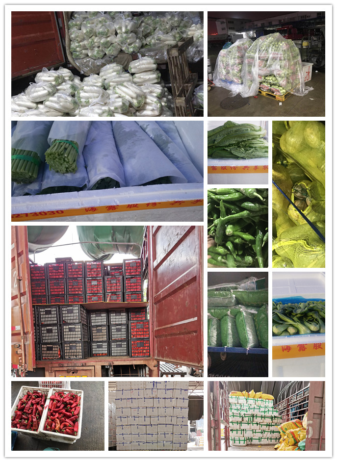 首页| J9集团国际站官方网站