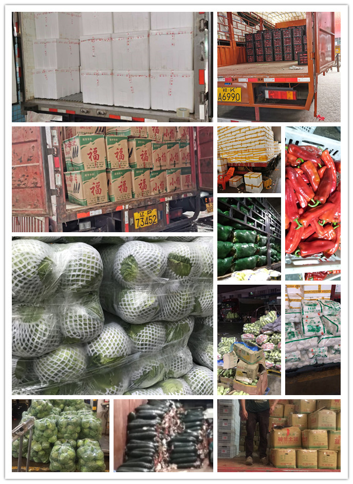 首页| J9集团国际站官方网站