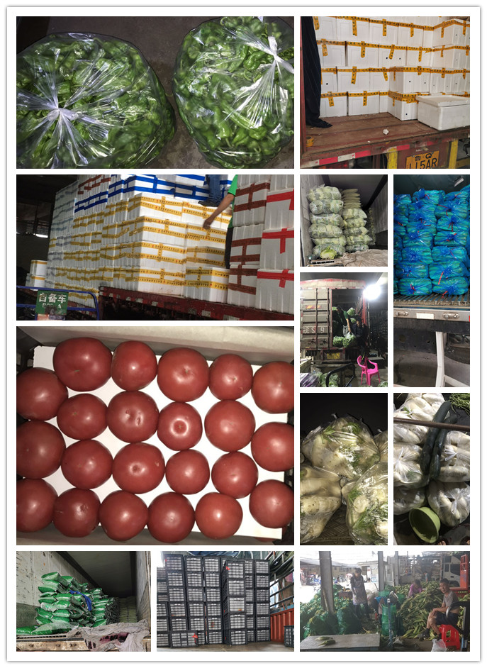 首页| J9集团国际站官方网站