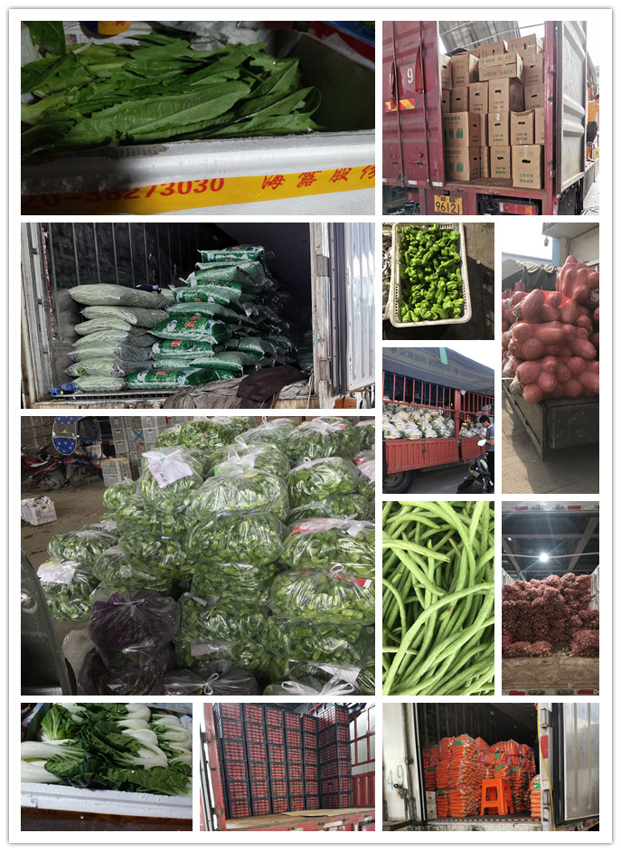 首页| J9集团国际站官方网站