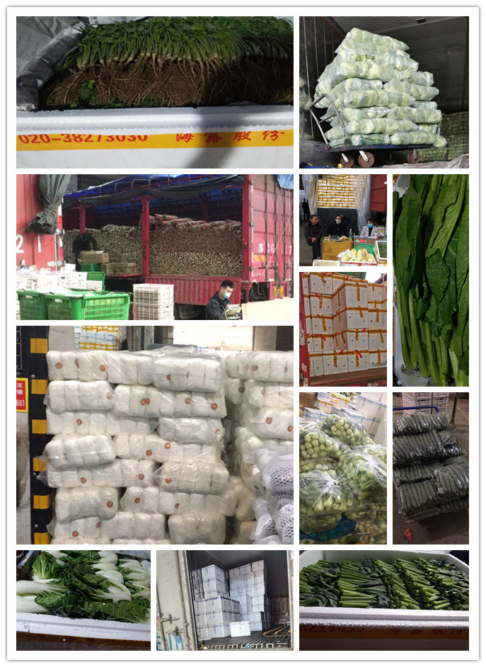 首页| J9集团国际站官方网站