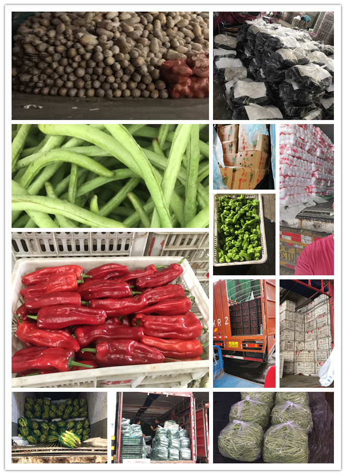 首页| J9集团国际站官方网站