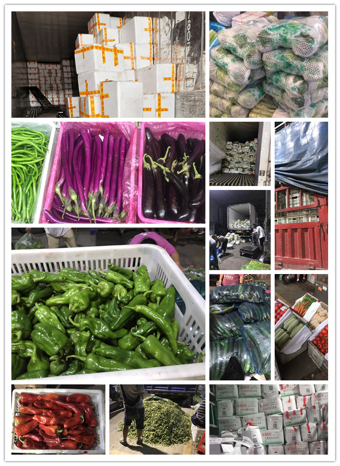 首页| J9集团国际站官方网站