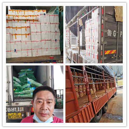 首页| J9集团国际站官方网站