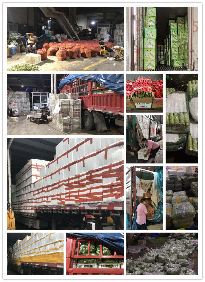 首页| J9集团国际站官方网站