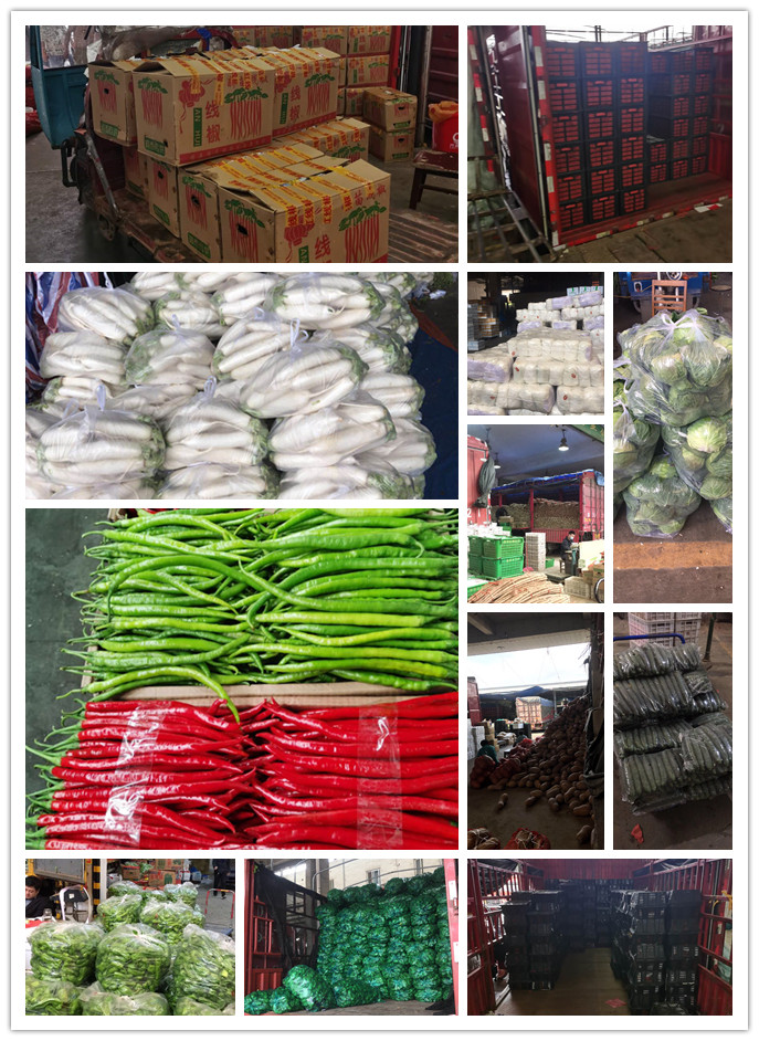 首页| J9集团国际站官方网站