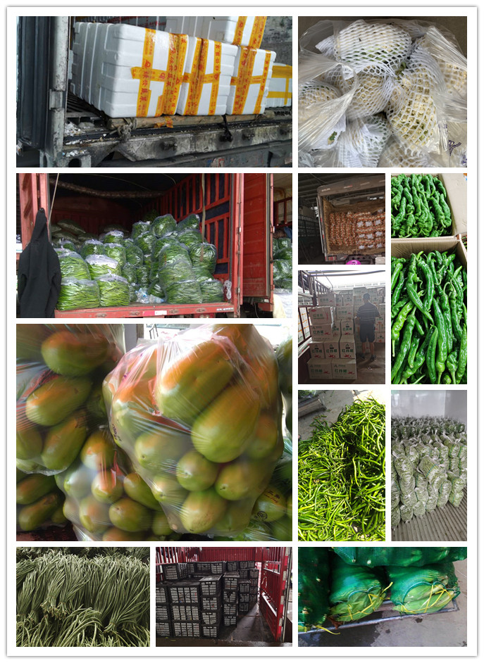 首页| J9集团国际站官方网站