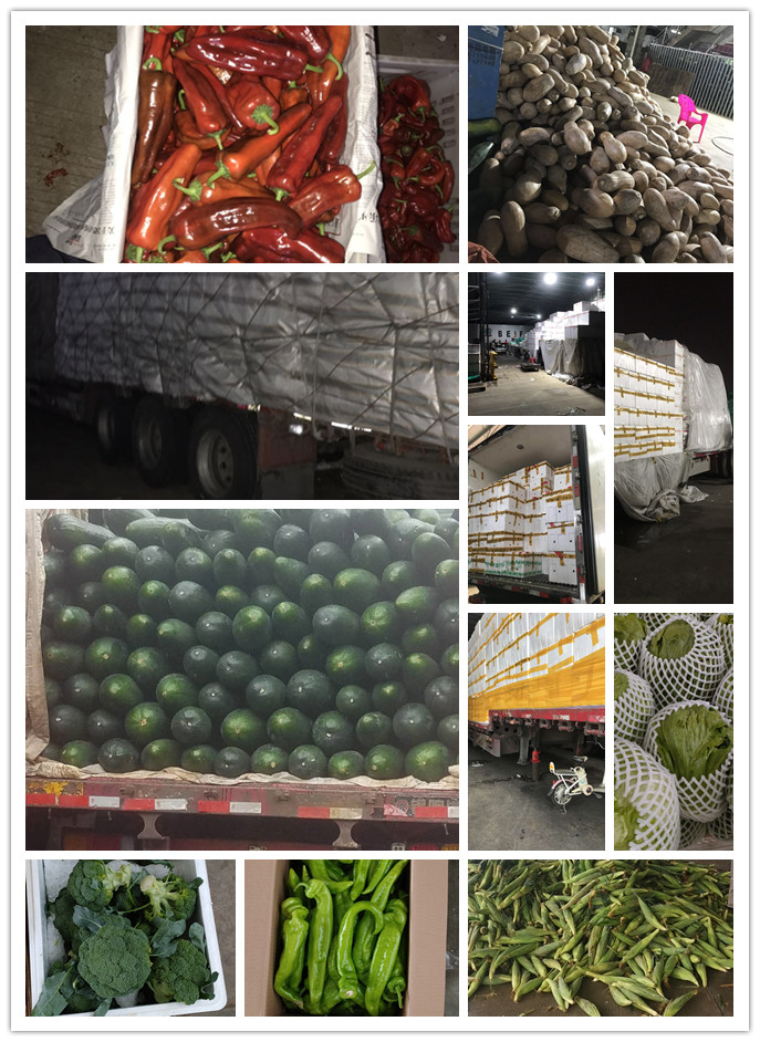 首页| J9集团国际站官方网站